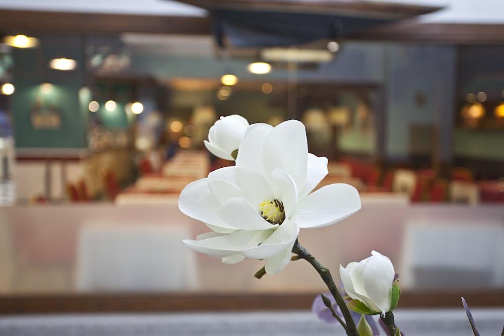 Ilunion Les Corts Spa Barcelona Ngoại thất bức ảnh
